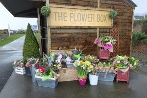 Flowerbox 3