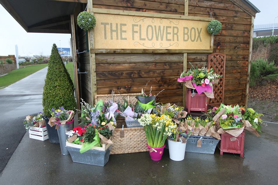 Flowerbox Blooms at Cornwall Services